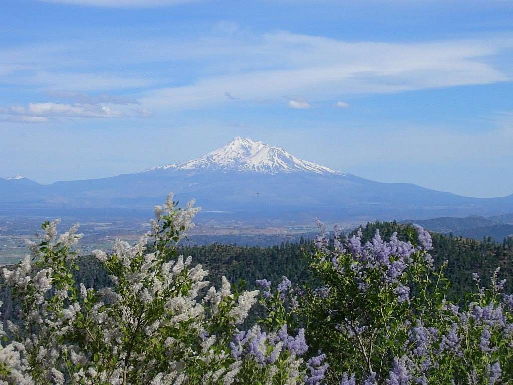 127 Acres of Recreational & Residential Land for Sale in Yreka, California