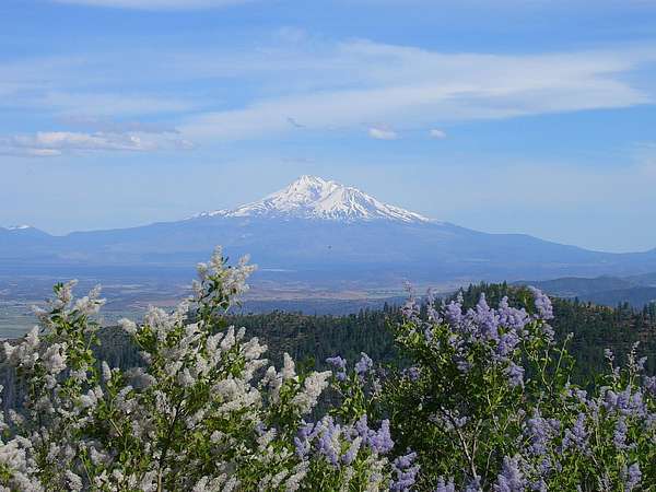 127 Acres of Recreational & Residential Land for Sale in Yreka, California