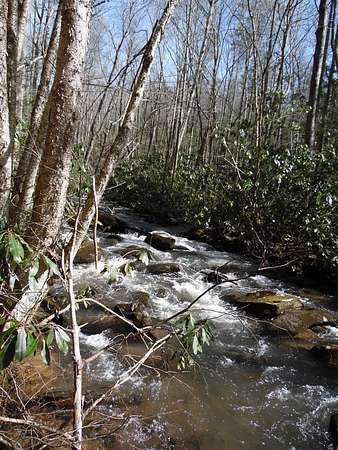13.9 Acres of Recreational & Residential Land for Sale in Troutdale, Virginia