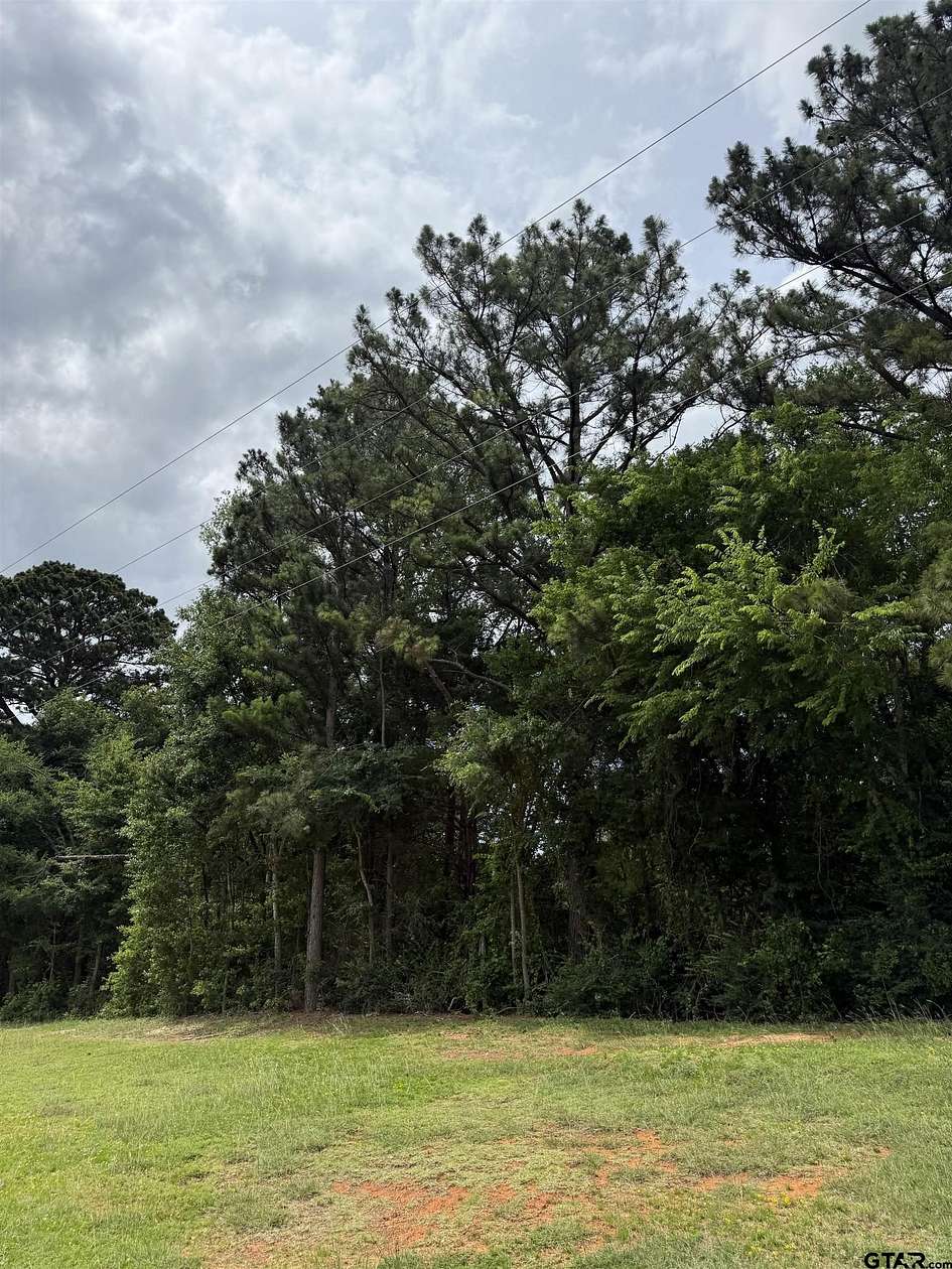 0.25 Acres of Land for Sale in Palestine, Texas