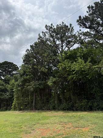 0.25 Acres of Land for Sale in Palestine, Texas