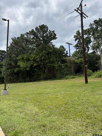 0.25 Acres of Land for Sale in Palestine, Texas