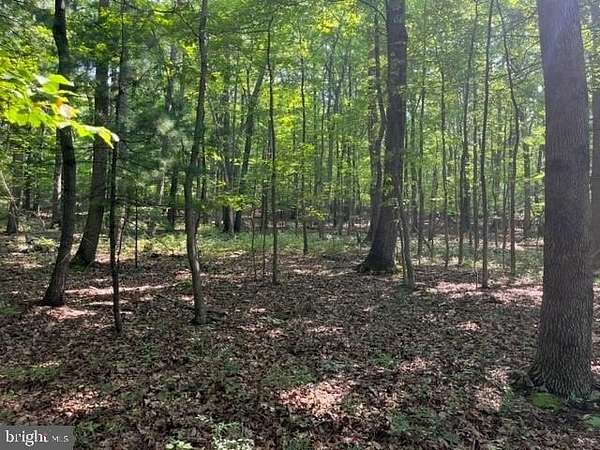 9.39 Acres of Residential Land for Sale in Mount Holly Springs, Pennsylvania