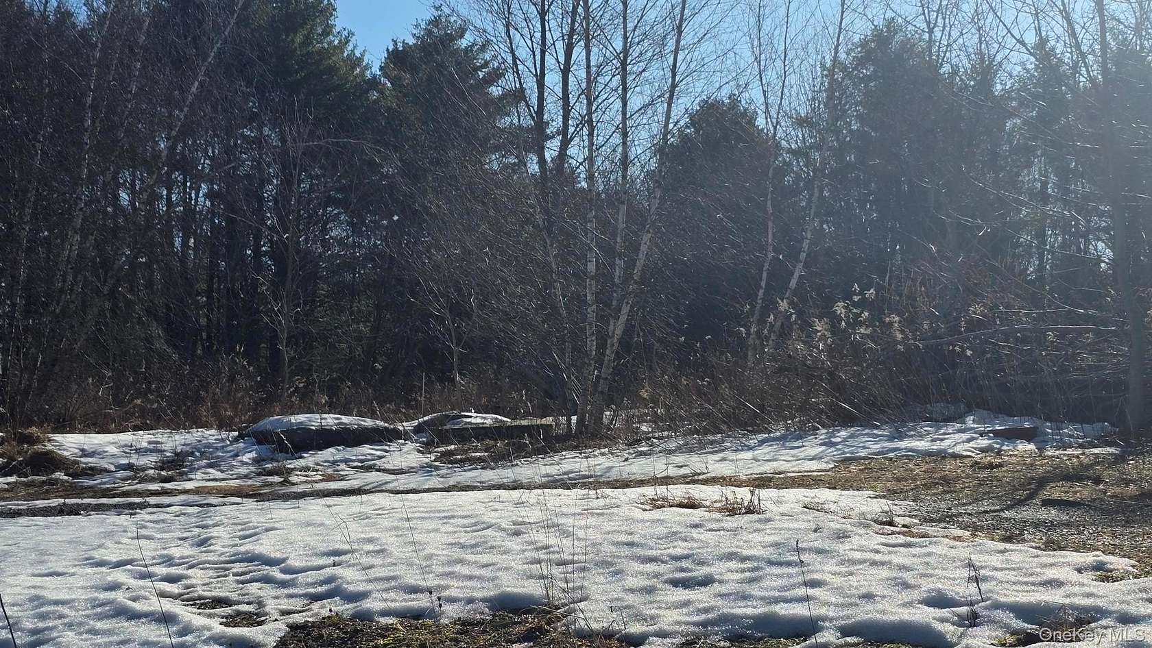 1 Acre of Commercial Land for Sale in Loch Sheldrake, New York