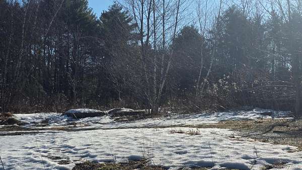 1 Acre of Commercial Land for Sale in Loch Sheldrake, New York