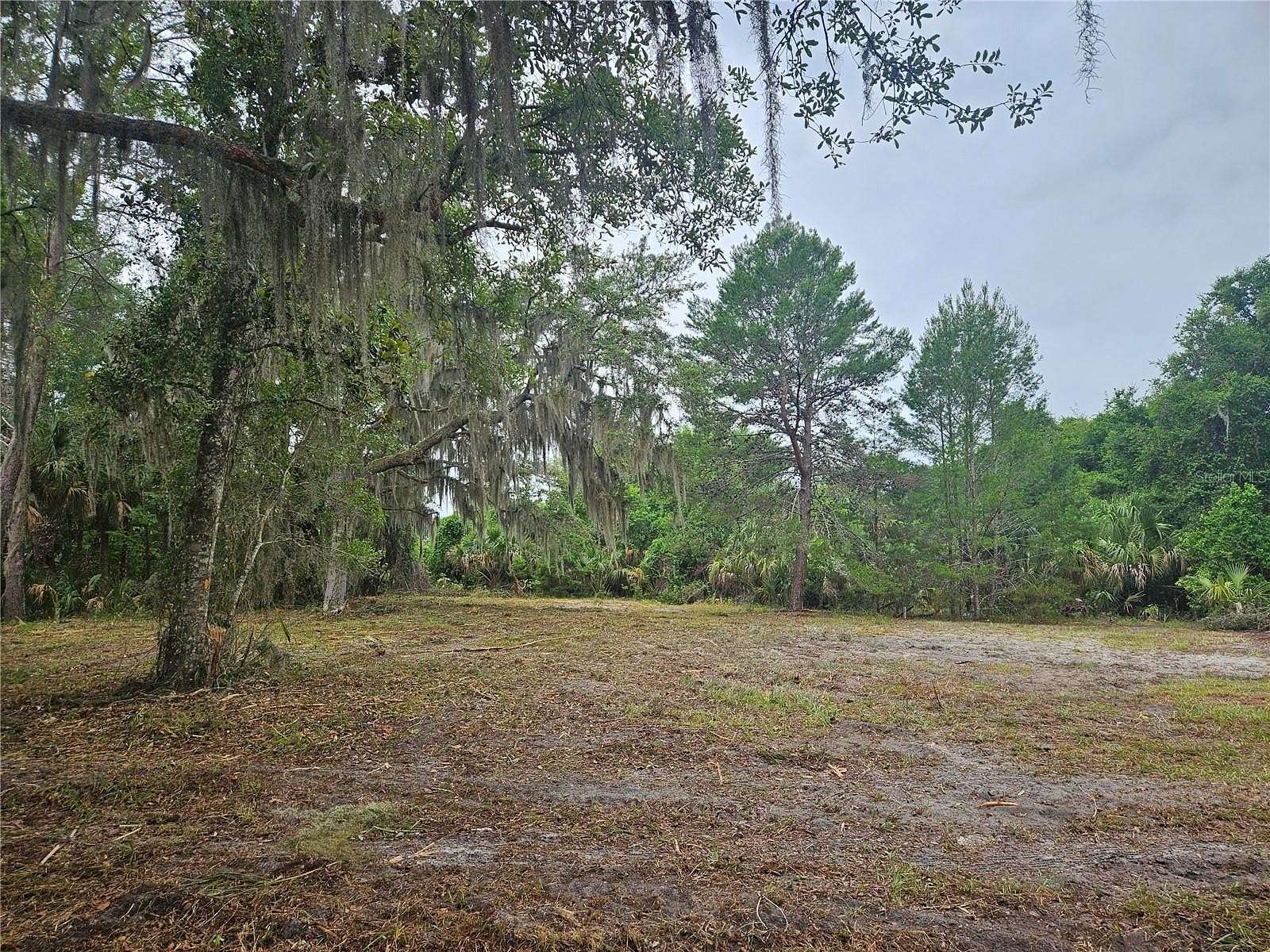 0.53 Acres of Residential Land for Sale in Geneva, Florida