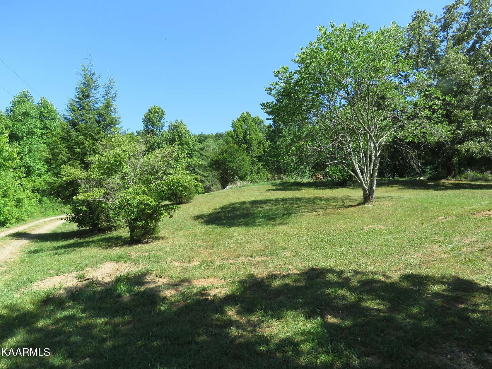 1.26 Acres of Residential Land for Sale in Knoxville, Tennessee