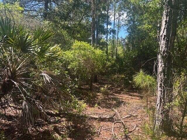 0.88 Acres of Land for Sale in Mims, Florida