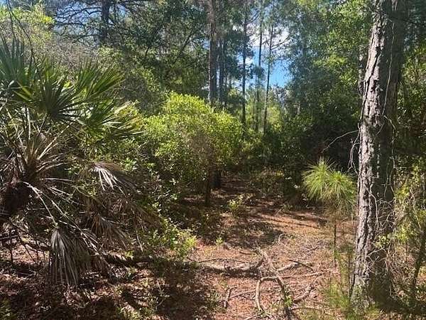 0.88 Acres of Land for Sale in Mims, Florida
