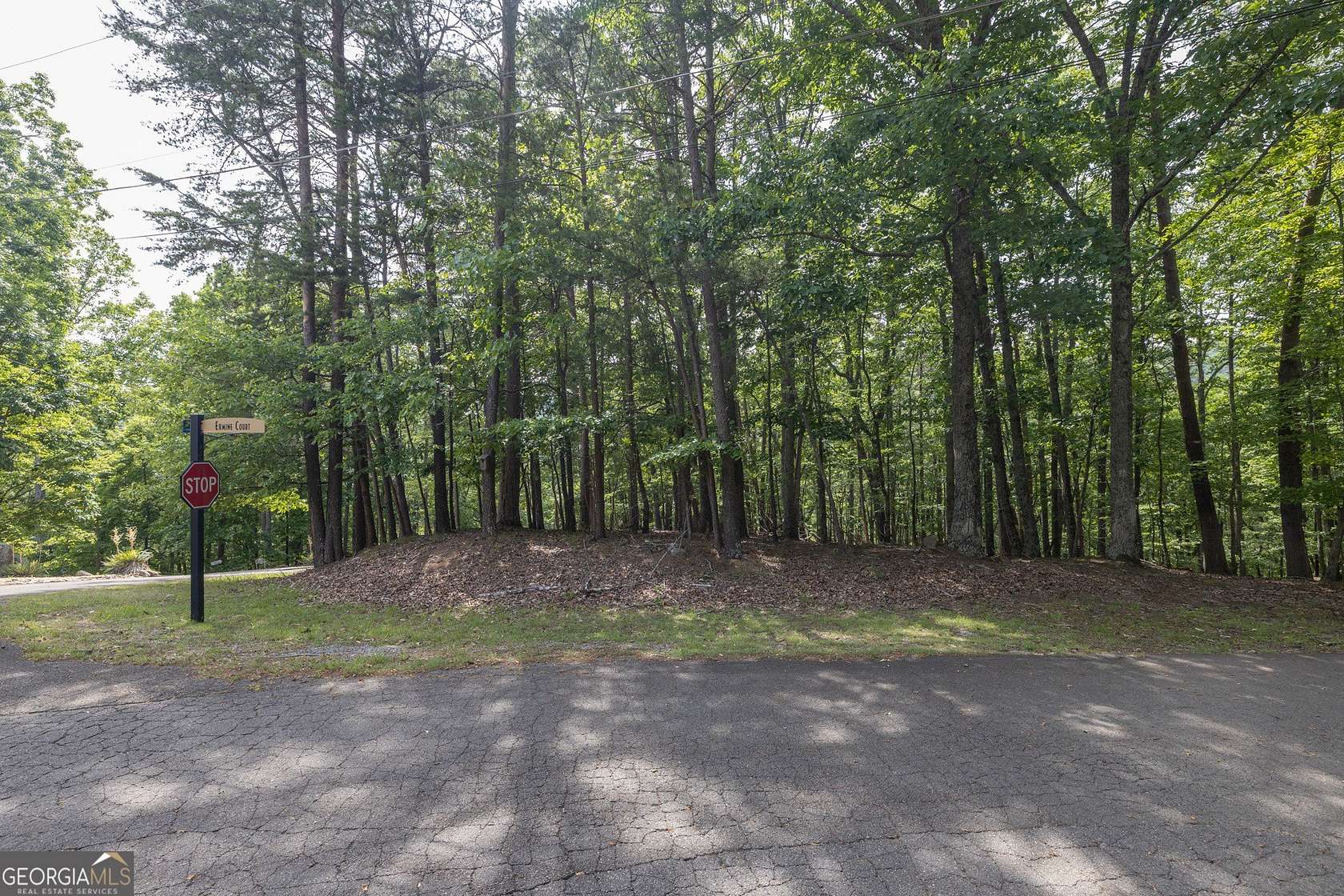 0.43 Acres of Residential Land for Sale in Waleska, Georgia