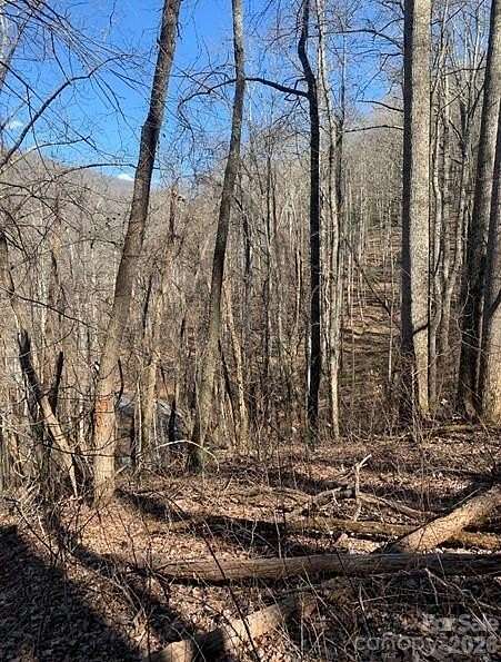 3.49 Acres of Residential Land for Sale in Asheville, North Carolina
