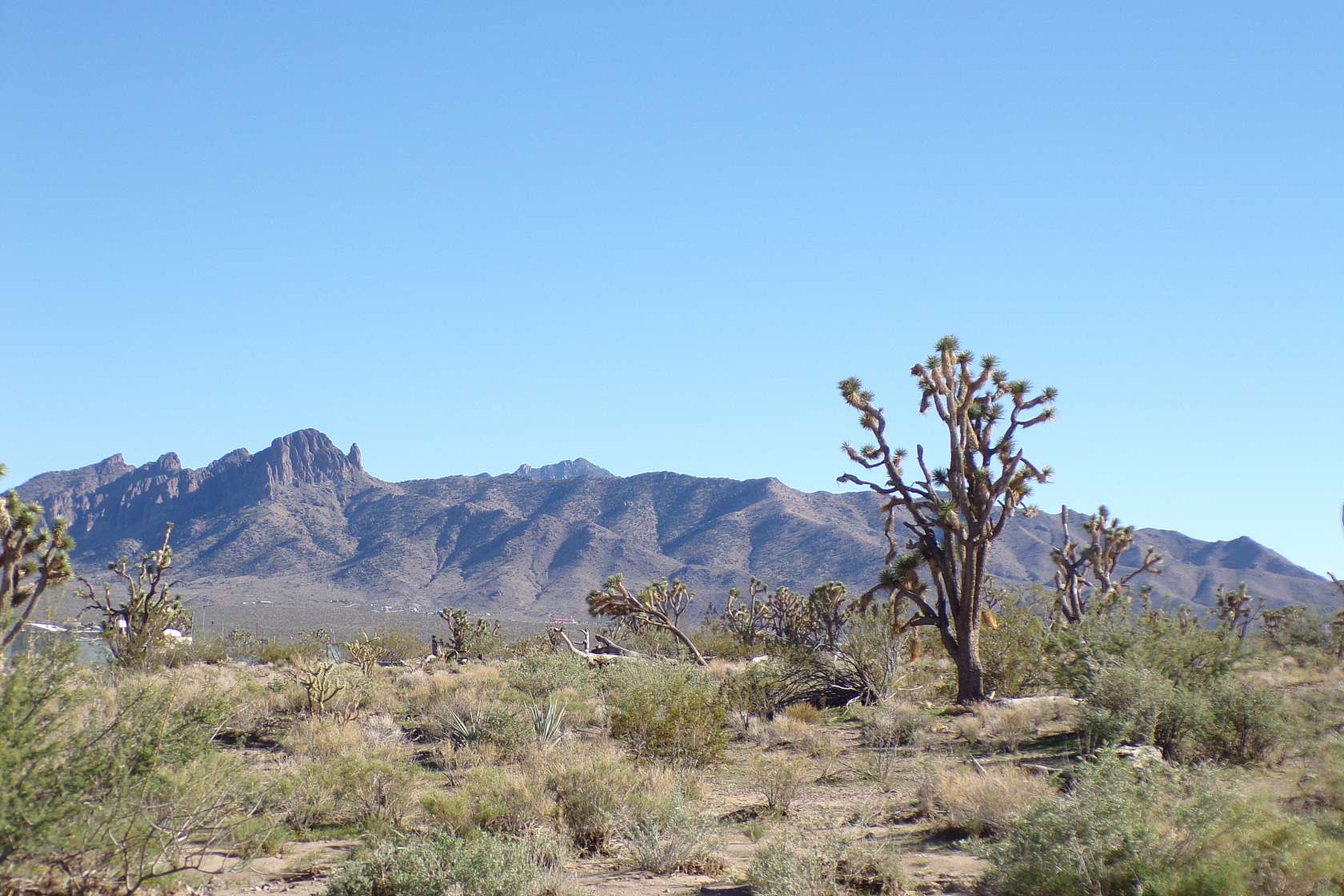 1 Acre of Residential Land for Sale in Dolan Springs, Arizona