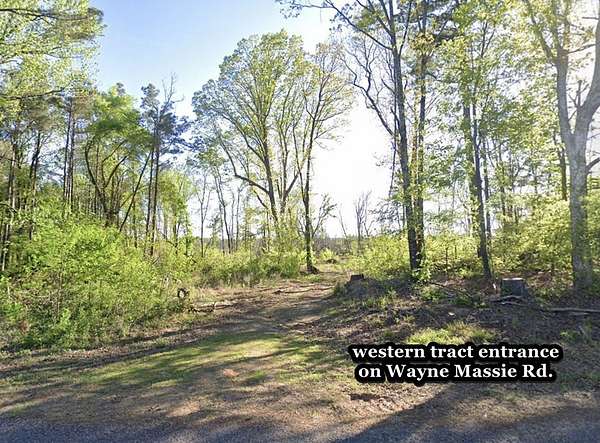 119 Acres of Recreational Land for Sale in Como, Mississippi