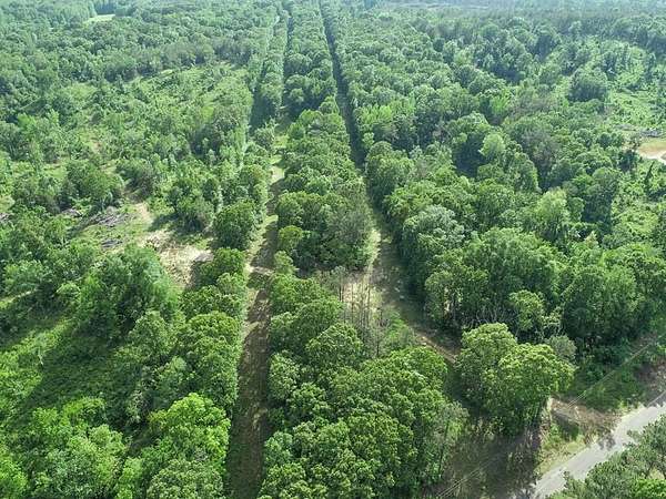 119 Acres of Recreational Land for Sale in Como, Mississippi