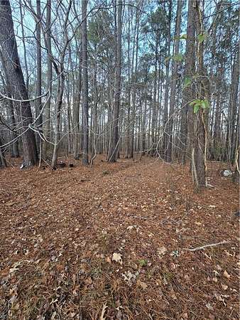 0.09 Acres of Residential Land for Sale in Newport News, Virginia