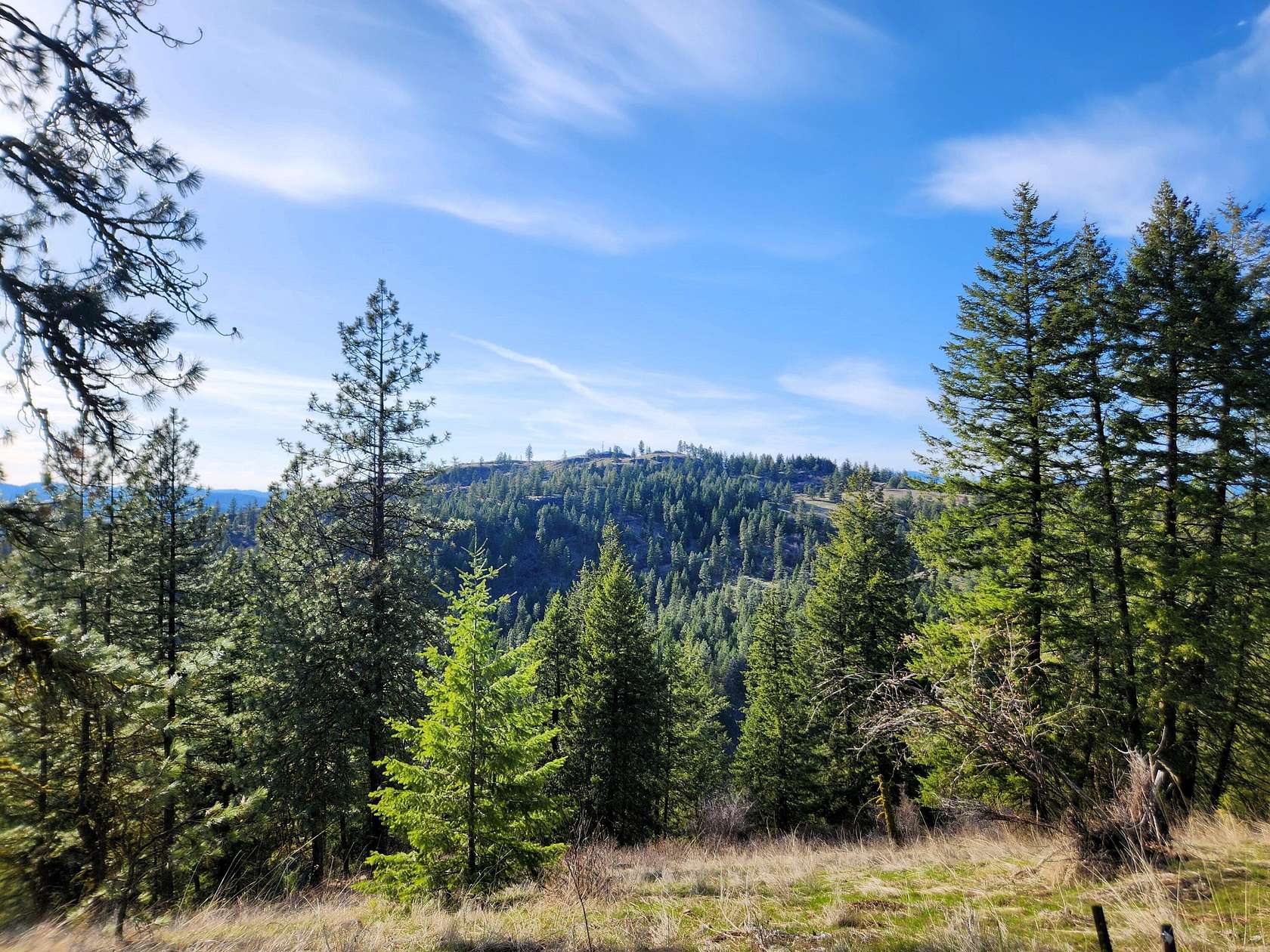 20 Acres of Recreational Land for Sale in Hunters, Washington