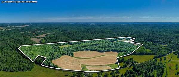 220 Acres of Land for Sale in Crofton, Kentucky