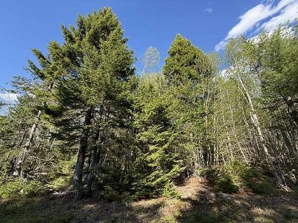 2 Acres of Land for Sale in Whiting, Maine
