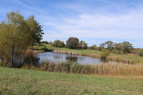 0.25 Acres of Residential Land for Sale in West Plains, Missouri