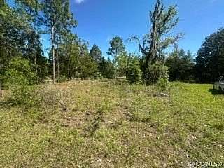 1 Acre of Land for Sale in Crystal River, Florida
