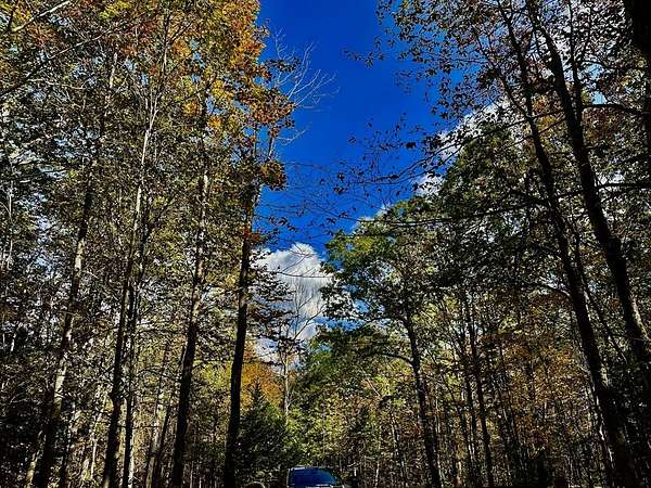 15 Acres of Recreational & Residential Land for Sale in Florida, Massachusetts