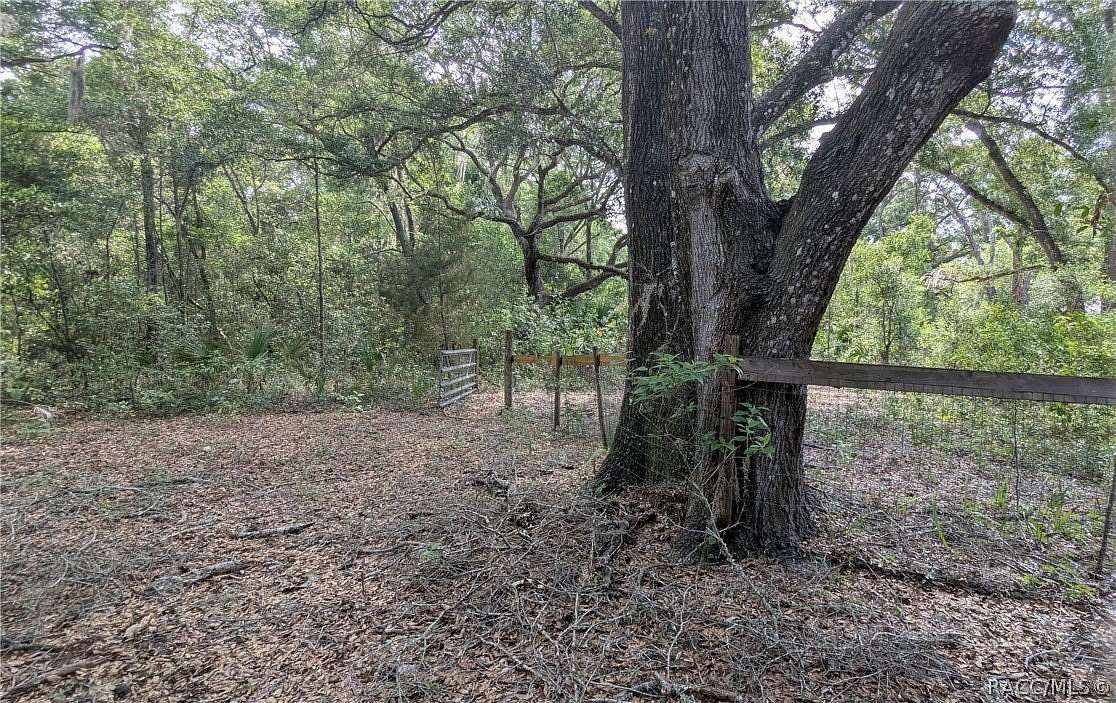 8.75 Acres of Land with Home for Sale in Inglis, Florida