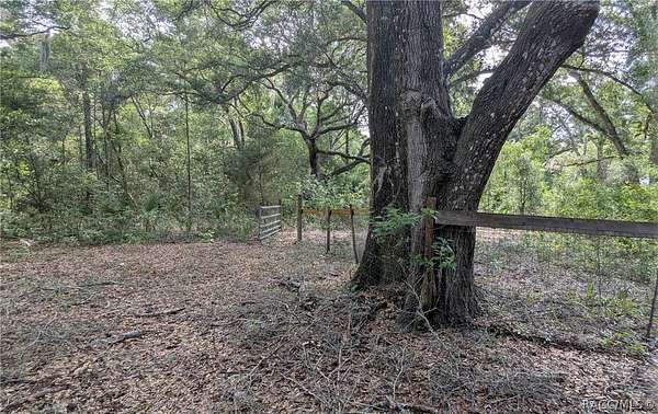 8.75 Acres of Land with Home for Sale in Inglis, Florida