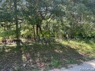 1 Acre of Land for Sale in Crystal River, Florida
