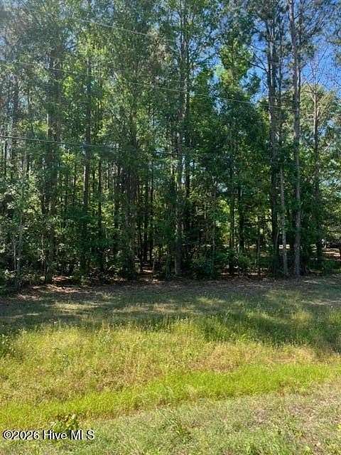 1.28 Acres of Residential Land for Sale in Appling, Georgia