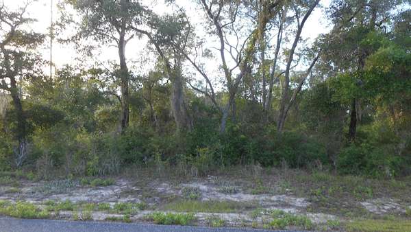 1.8 Acres of Residential Land for Sale in Panacea, Florida