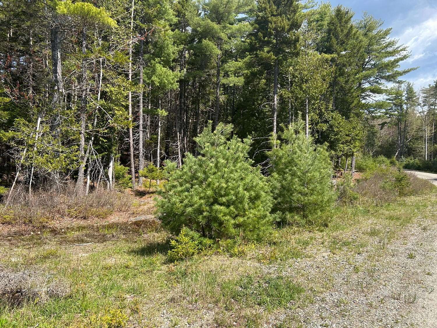 2.89 Acres of Residential Land for Sale in Bar Harbor, Maine