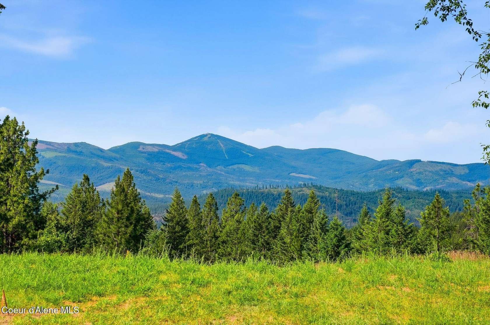 20.2 Acres of Recreational Land for Sale in Blanchard, Idaho