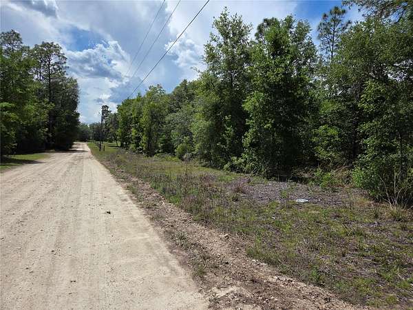 2.5 Acres of Land for Sale in Bronson, Florida