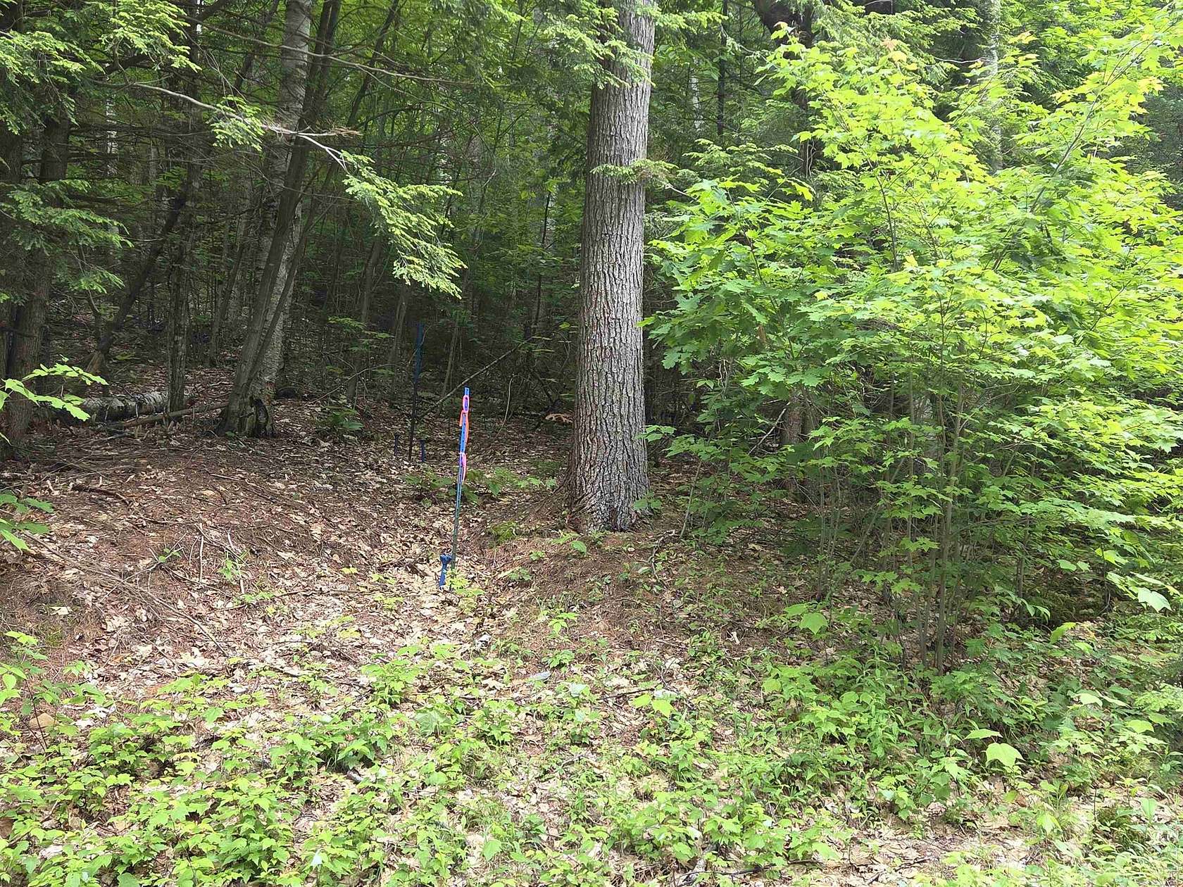 0.4 Acres of Residential Land for Sale in Campton Town, New Hampshire