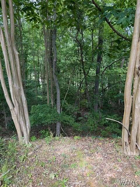 0.77 Acres of Residential Land for Sale in Tuscaloosa, Alabama