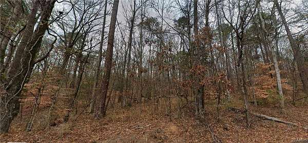 1.5 Acres of Land for Sale in Northport, Alabama