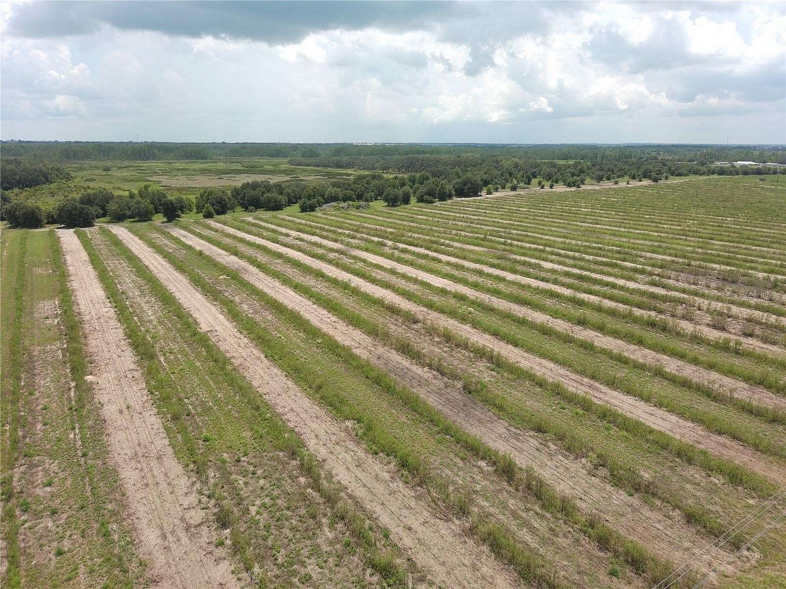 59.3 Acres of Land for Sale in Haines City, Florida