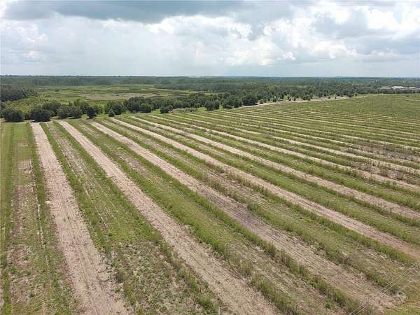 59.3 Acres of Land for Sale in Haines City, Florida