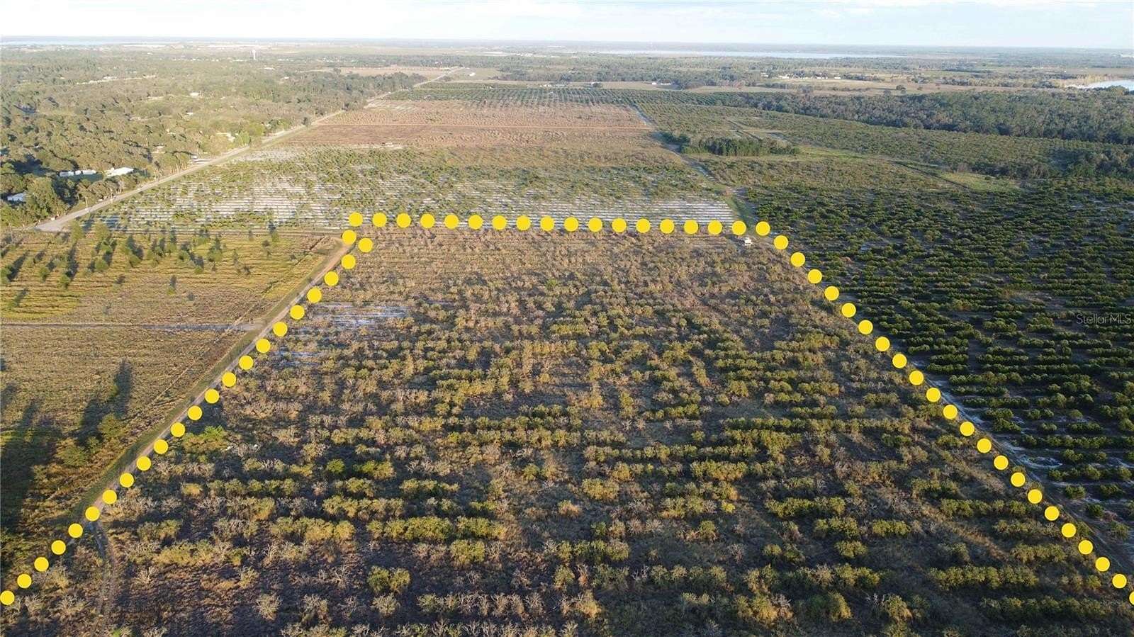 48 Acres of Land for Sale in Frostproof, Florida