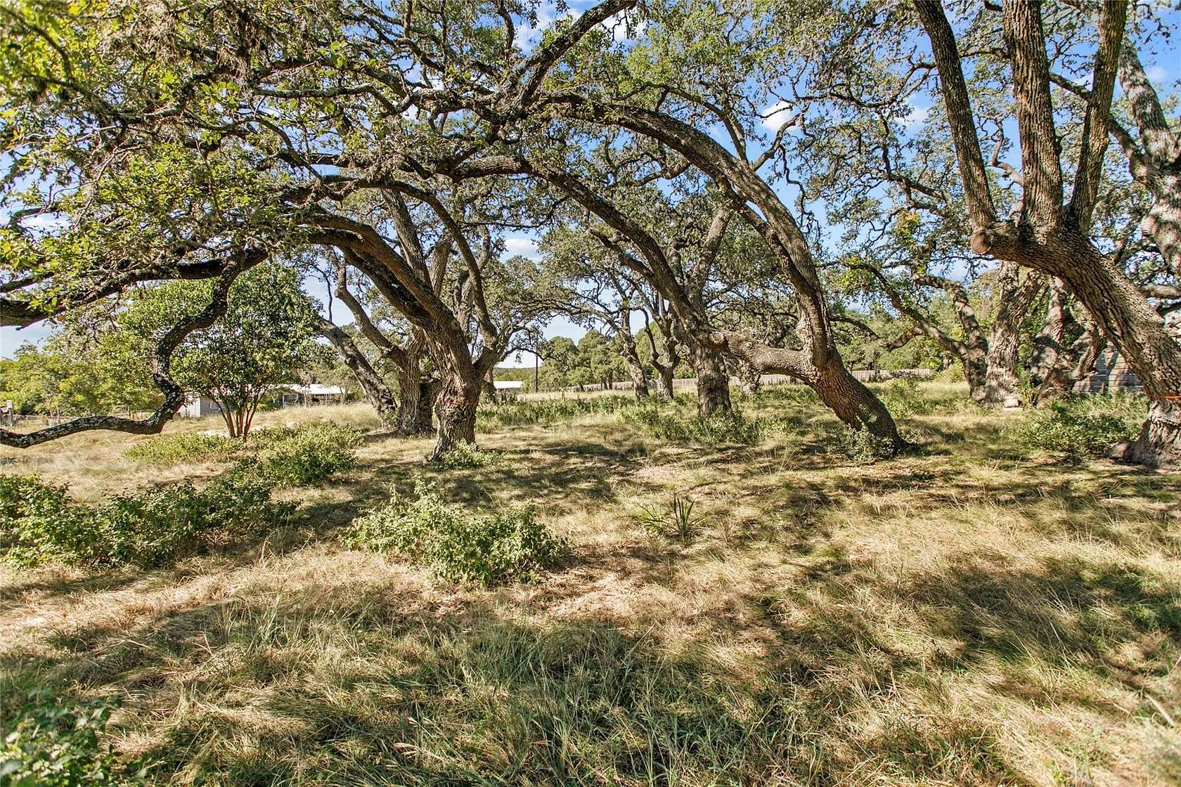 0.28 Acres of Residential Land for Sale in Blanco, Texas