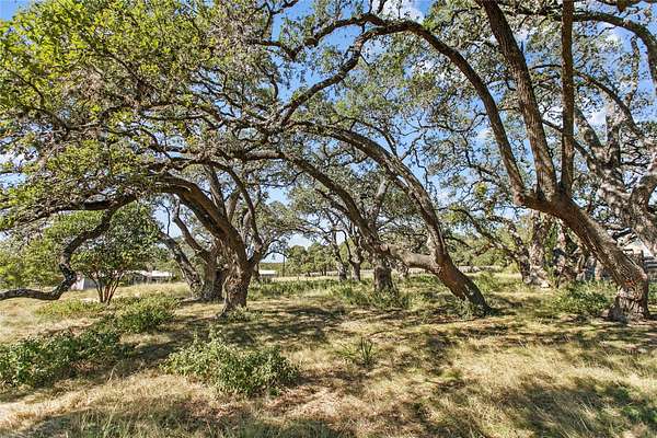 0.27 Acres of Residential Land for Sale in Blanco, Texas