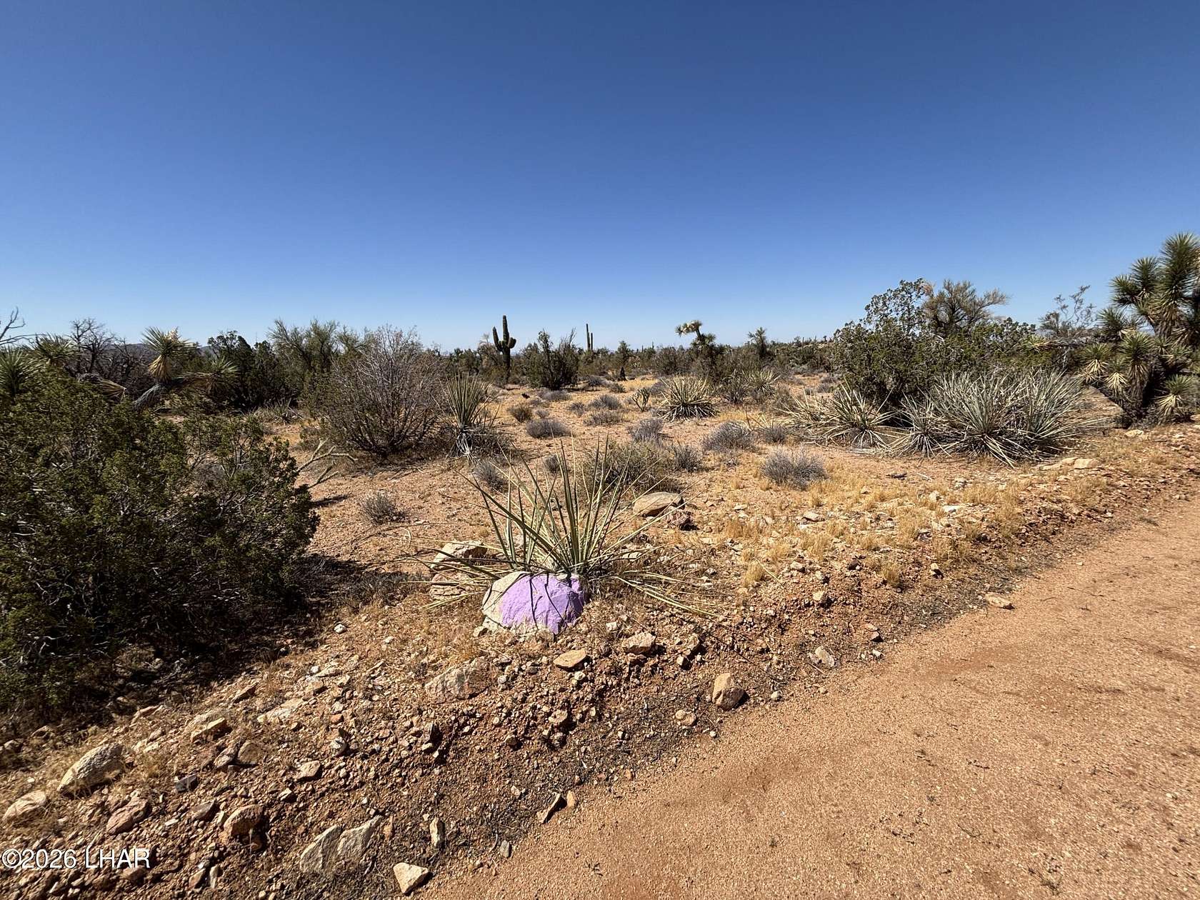 40 Acres of Land for Sale in Yucca, Arizona
