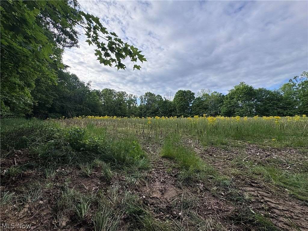 10.1 Acres of Recreational & Residential Land for Sale in Stockport, Ohio