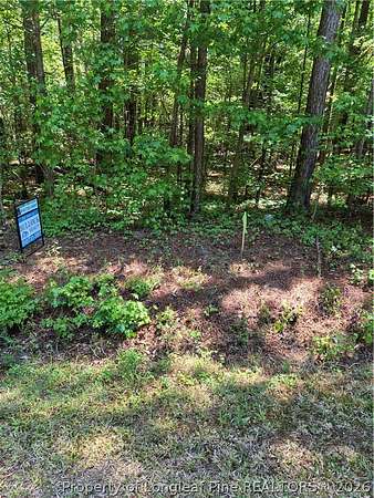 0.96 Acres of Land for Sale in Bladenboro, North Carolina