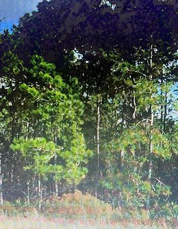 5 Acres of Residential Land for Sale in Archer, Florida