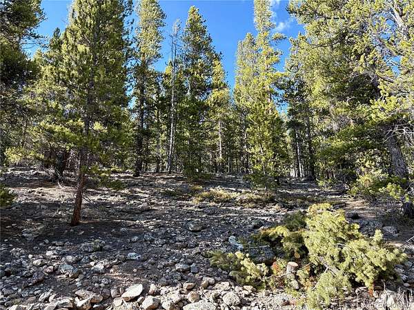 48.4 Acres of Land for Sale in Leadville, Colorado