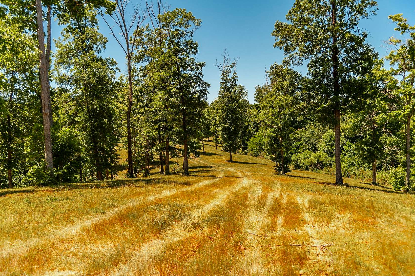 98.6 Acres of Recreational & Residential Land for Sale in Nashville, Tennessee