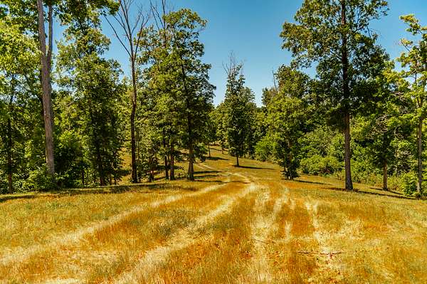 98.6 Acres of Recreational & Residential Land for Sale in Nashville, Tennessee