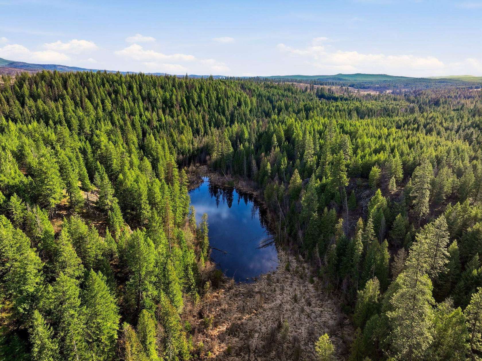 130 Acres of Recreational & Residential Land for Sale in Elk, Washington