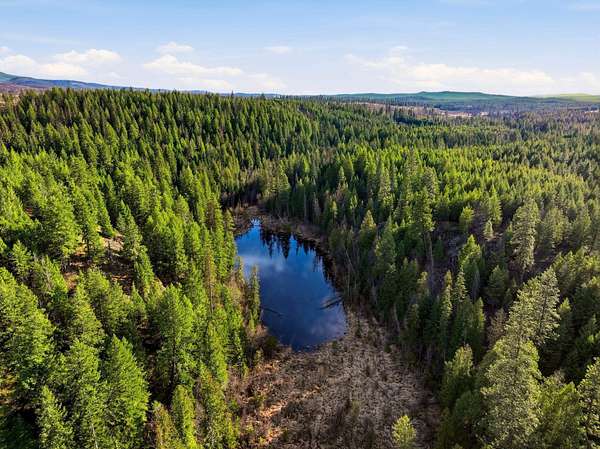 130 Acres of Recreational & Residential Land for Sale in Elk, Washington